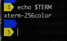 Terminal Emulator $TERM