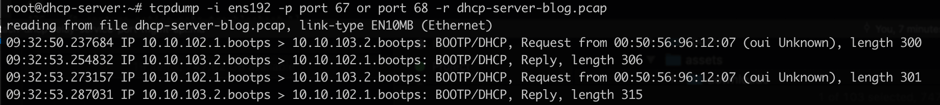 DHCP Server Capture